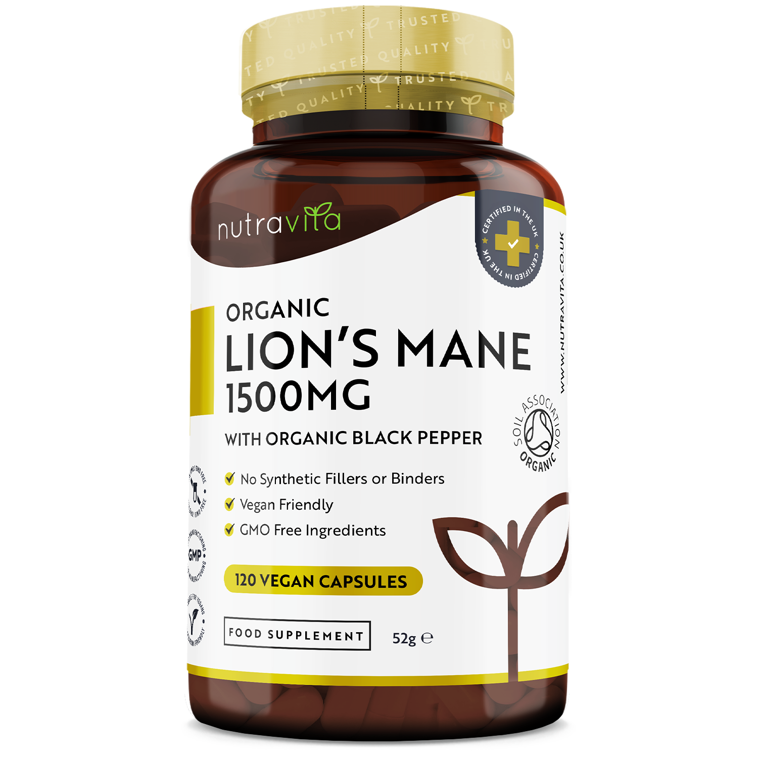 Bio Löwenmähne Pilz 1500mg 120 Kapseln