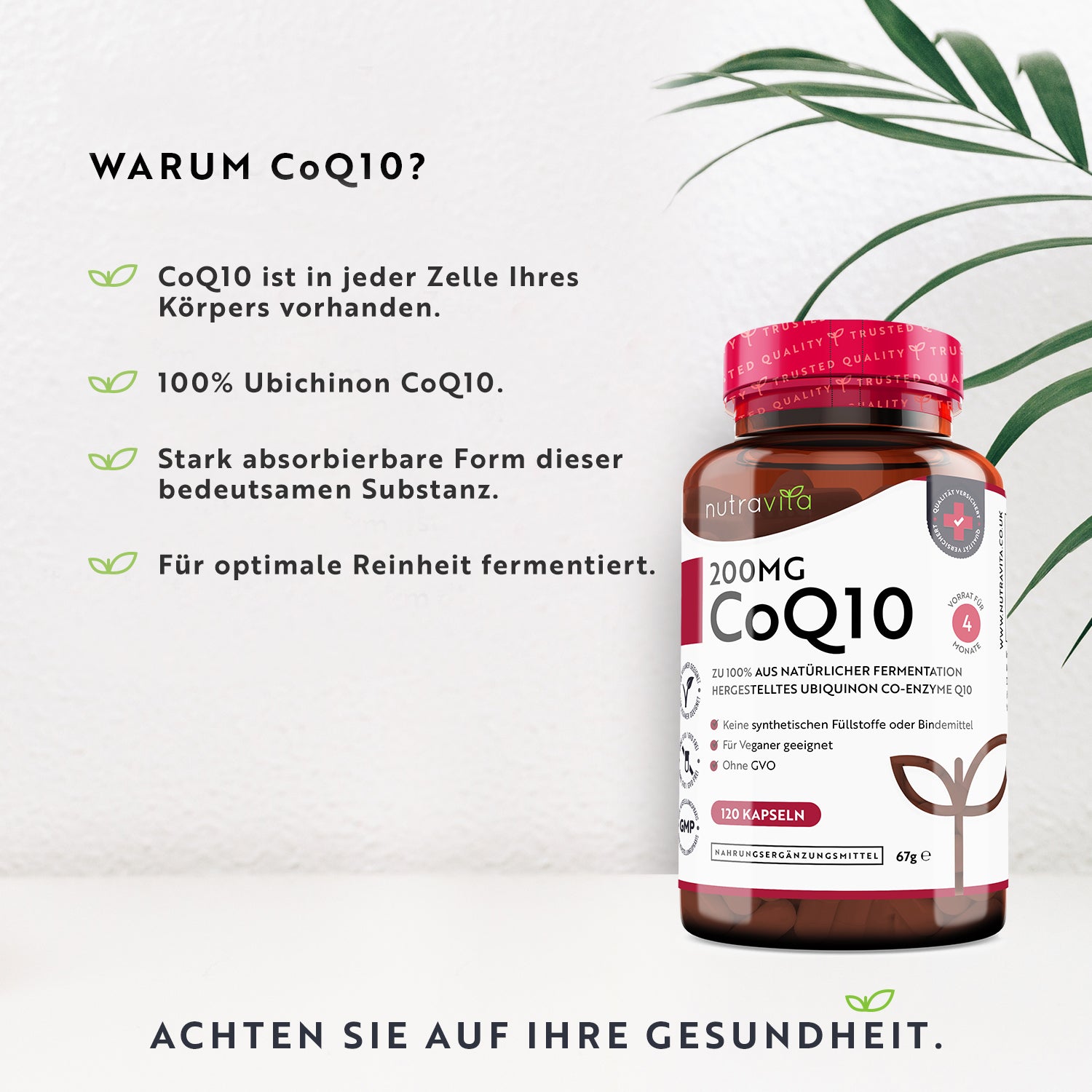 Co-Enzym Q10 200mg 120 Kapseln
