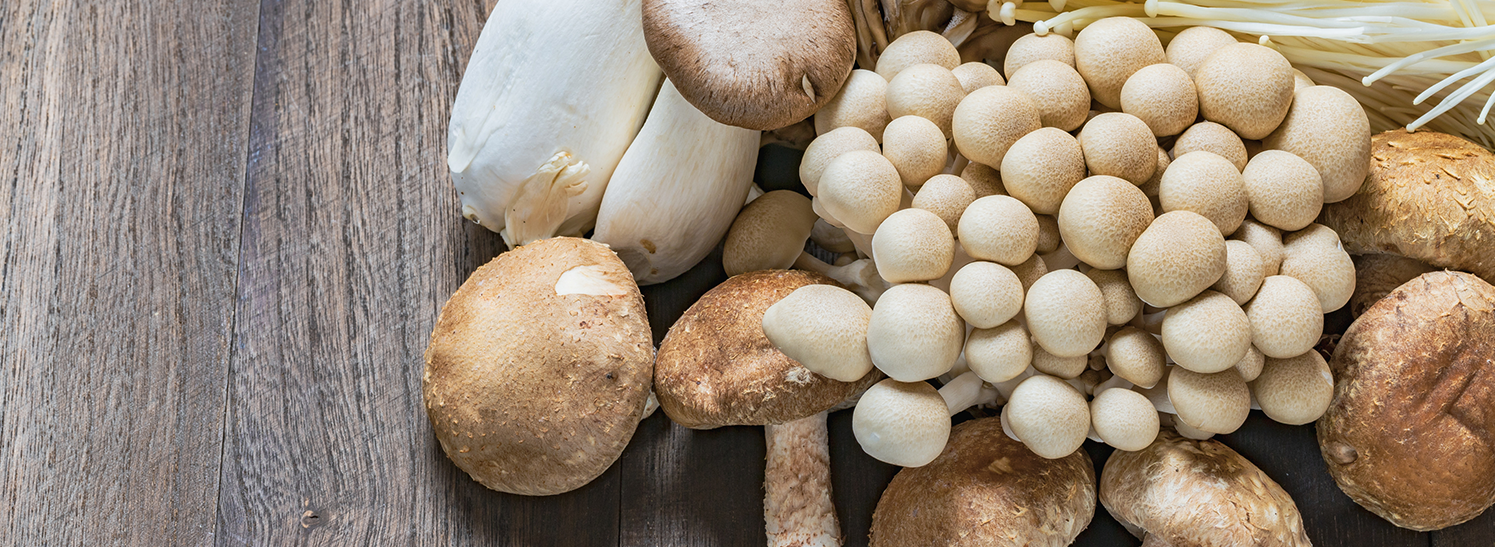 Fortschrittlicher Pilz-Superblend