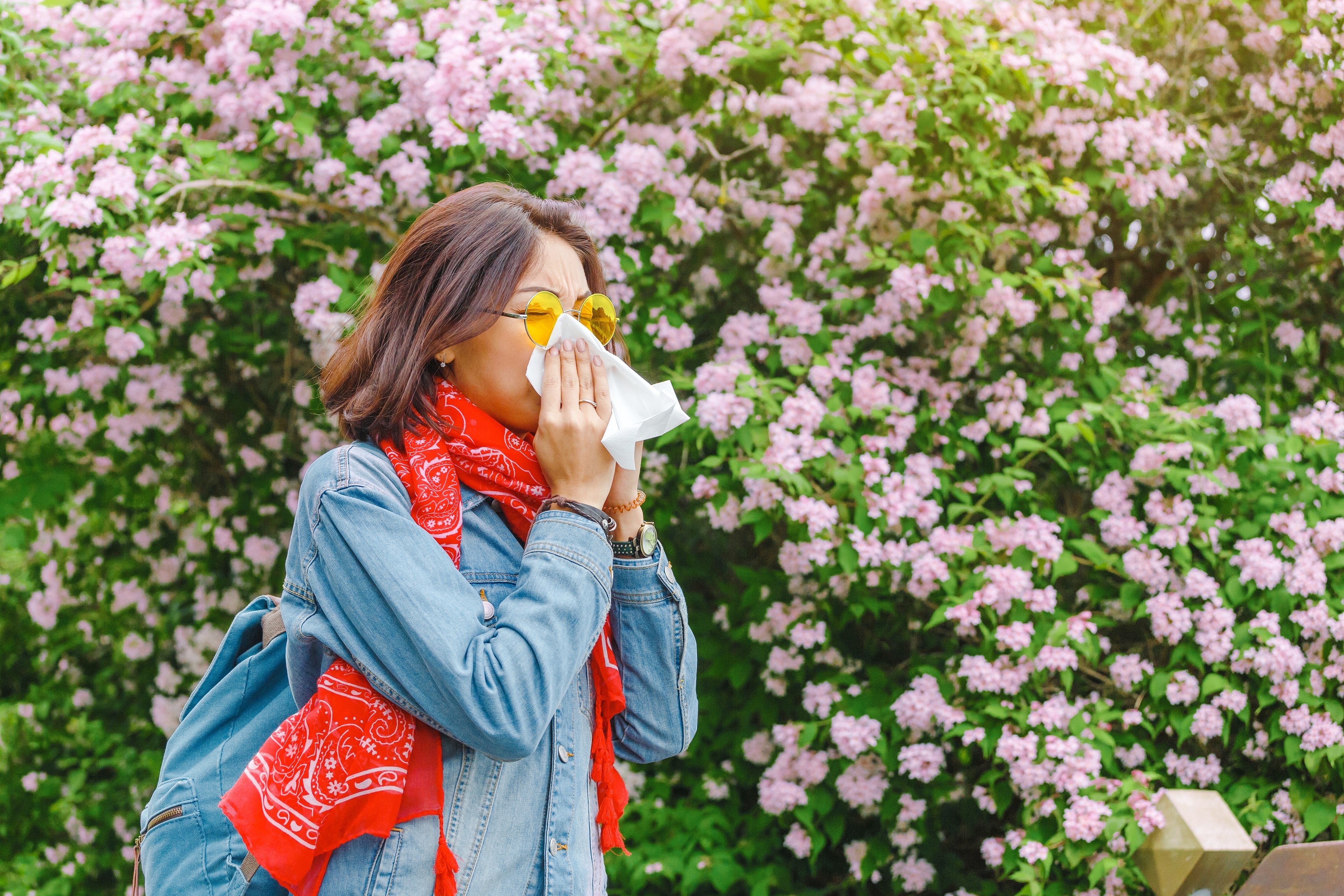 7 wirksame Naturheilmittel zur Linderung saisonaler Allergien