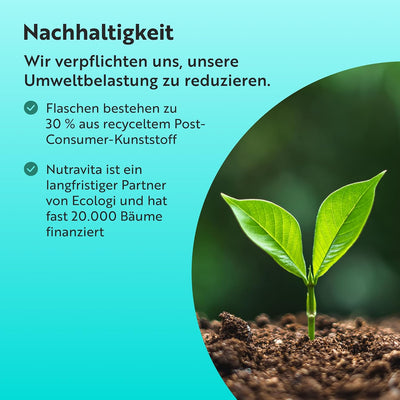 Nahrungsergänzungsmittel mit Enzymkomplex für die Verdauung – 60 vegane Tabletten