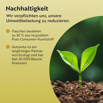 Bio Löwenmähne Pilz 1500mg 120 Kapseln