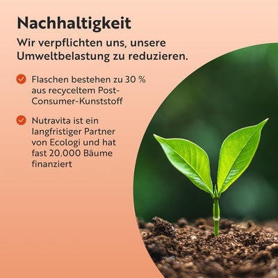 Ashwagandha Tabletten - 365 vegane Tabletten