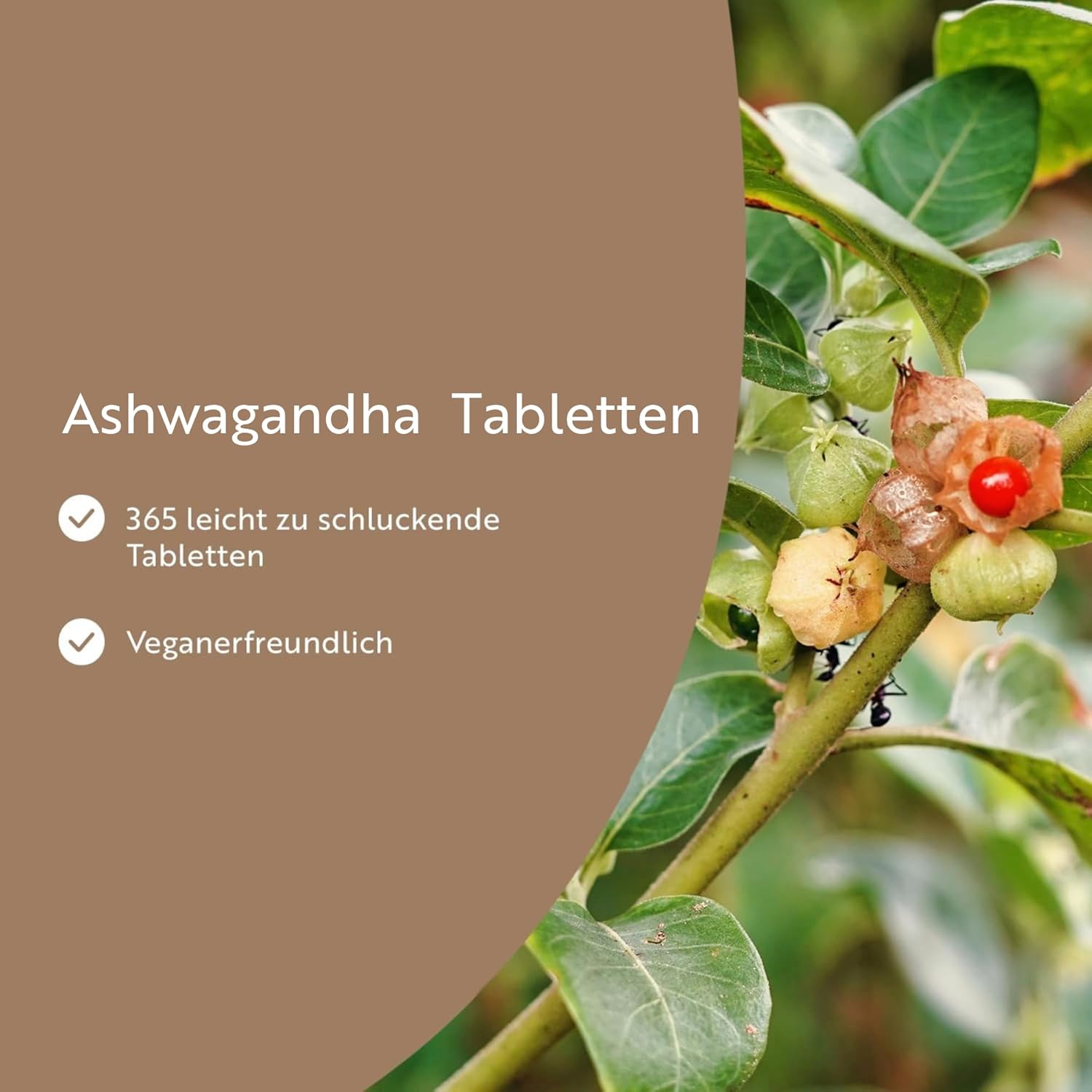 Ashwagandha Tabletten - 365 vegane Tabletten