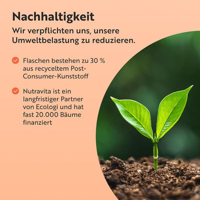 Bio Kurkuma Kapseln 1440 mg, schwarzem Pfeffer & Ingwer - 180 vegane Kurkuma Kapseln