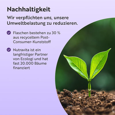 Multivitamine mit verbesserter Aufnahme für Männer und Frauen – 360 vegane Tabletten