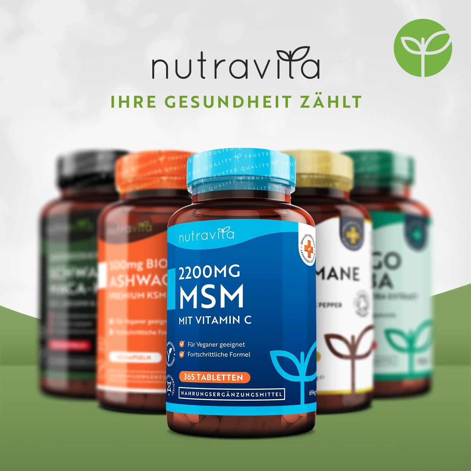 MSM 2200mg Tabletten