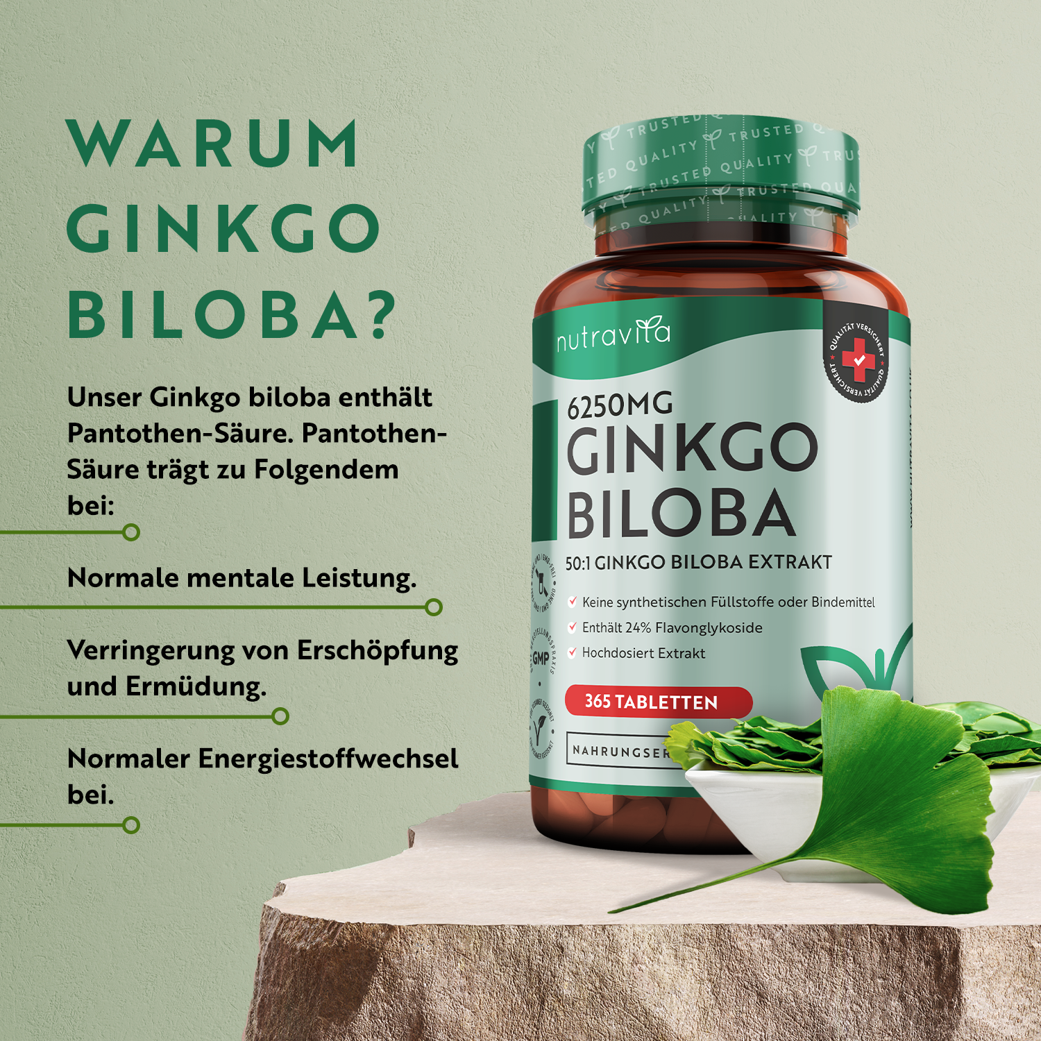 Ginkgo Biloba 6250mg 365 Tabletten